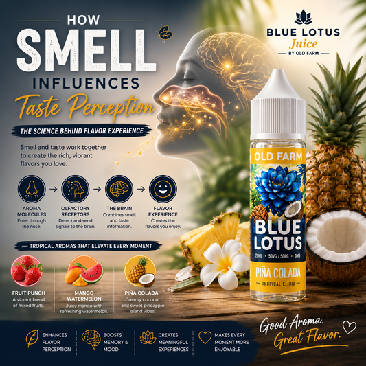 How Smell Influences Taste Perception | The Science Behind Flavor Experience